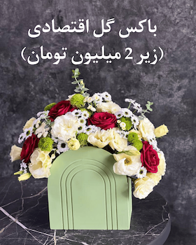 باکس گل اقتصادی